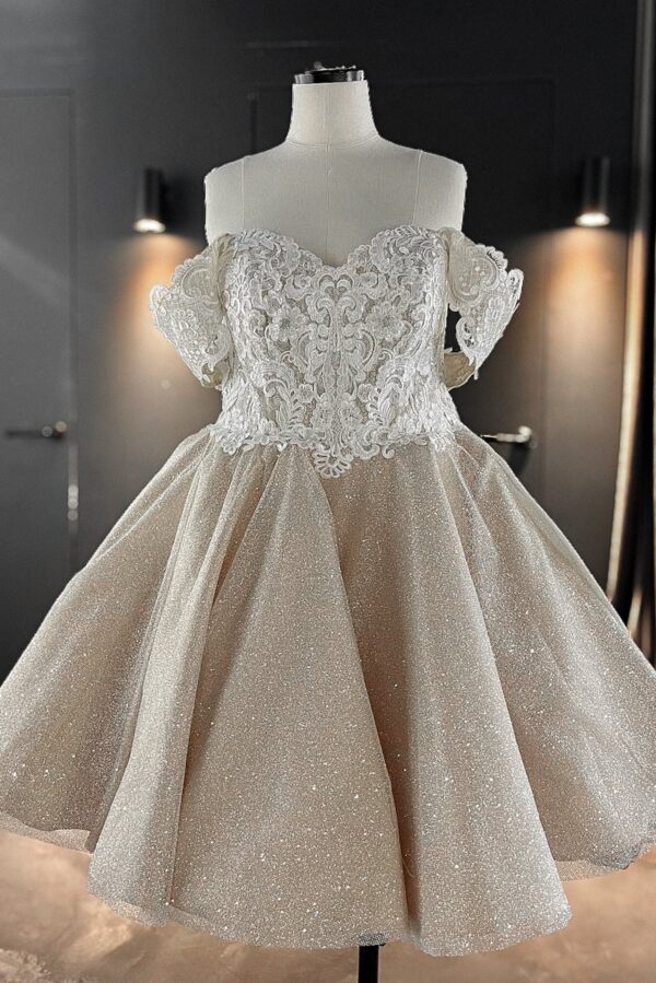 Tea Length Plus Size Lace Wedding Dress Elise - Image 19