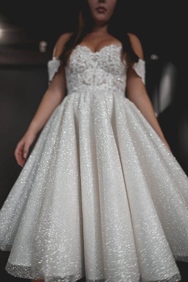 Tea Length Plus Size Lace Wedding Dress Elise - Image 11